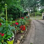 ベッド・アンド・ブレックファスト Chambre D Hote Les Bosquets