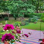 Chambre D Hote Les Bosquets Cauge