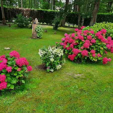 Bed & Breakfast Chambre D Hote Les Bosquets